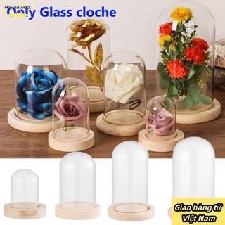 [Giao hàng từ Việt Nam] Tấm che bụi HAVENLYCO Terrarium Để bàn Trang trí nội thất Bình thủy tinh Terrarium Đế gỗ