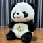Bé Ngủ Sooother Panda Cho Bé Ngủ Đồng Hành Âm Thanh Ánh Sáng Búp Bê Cho Bé Trẻ Sơ Sinh Kid