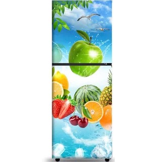 Decal cao cấp dán tủ lạnh nhiều mẫu có keo siêu bền chống nước