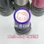 Nhặt Rò Rỉ hollekitty Mèo Seal Hoạt Hình Giá Trị Cao Có Thể Sổ Tay diy Con Dấu Trang Trí Tem Học Sinh Sử Dụng Quà Tặng Tặng Tặng