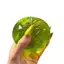 Bigapple Green Apple Giảm Căng Thẳng Bóp Đồ Chơi Chống Căng Thẳng Thông Hơi Tức Giận Cho Người Lớn Trẻ Em Quà Tặng RDG