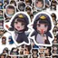 102 Chiếc Gugu Gaga Chim Cánh Cụt Quản Trị Dán Trò Chơi Arknights: Endfield Miếng Dán Cho Thêu Sò Vali Notebook Đề Can