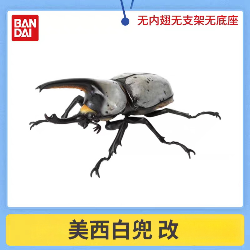 [BTF] Hàng có sẵn BANDAI Capsule Toy Sinh học Sách minh họa lớn Beetle 10 Rhinoceros Beetle Unicorn Pocket Worm Trang trí E42B