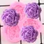 Khuôn Silicon Hoa Mẫu Đơn Cưới Cupcake Topper Fondant Bánh Trang Trí Dụng Cụ