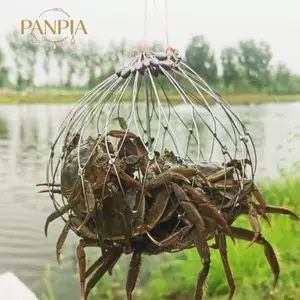PNPIA- Lồng Lưới Câu Cá Tự Động Mở Đóng Câu Cá Bẫy Cua Dây Thép Cho Nước Mặn Nước Biển Phụ Kiện Câu Cá Ngoài Trời