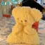 GHX Hoạt Hình Búp Bê Động Vật Để Bàn Sang Trọng Đồ Chơi Siêu Dễ Thương Chuột Đậu Túi Cổ Tay Padfort Mềm Sang Trọng Đồ Chơi Giảm Căng Thẳng Búp Bê Quà Tặng VN