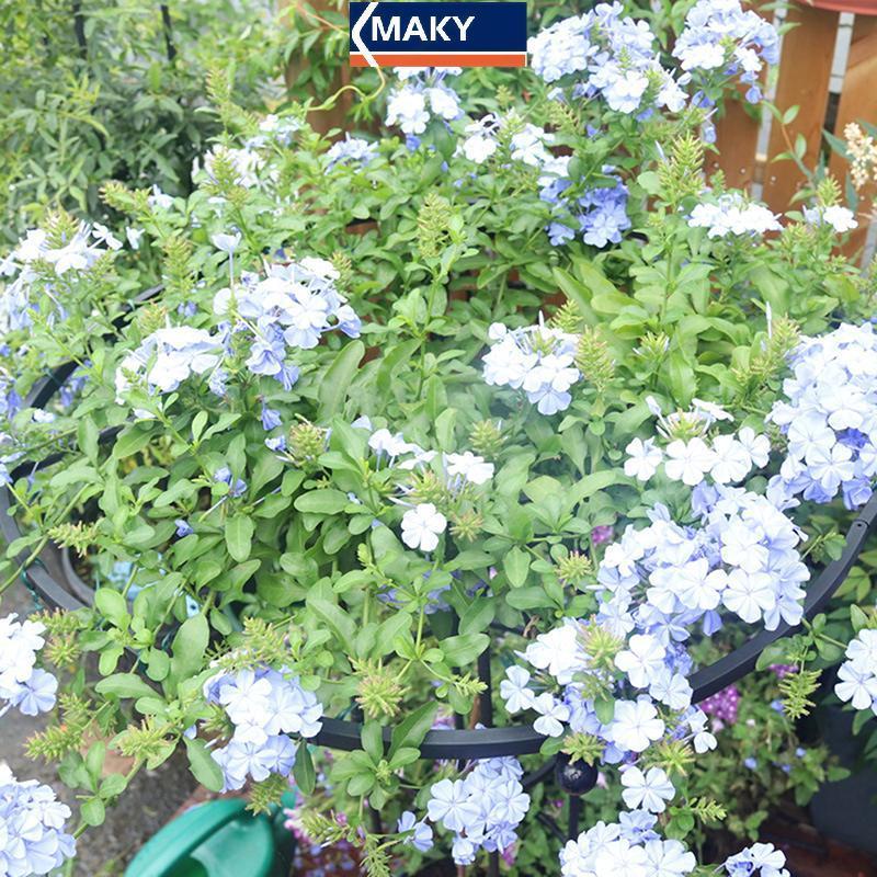MAKY Garden Dù Tháp Trellis Hỗ Trợ Leo Cho Cây, Chậu Hoa VN