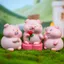 Dễ Thương Chú Heo Nhỏ Bí Ẩn Hộp Xấu Xí Dễ Thương Để Bàn Đồ Trang Trí Ngộ nghĩnh Quà Tặng Cho Bạn Gái Cô Gái Sáng Tạo Hình Trang Trí 5.7