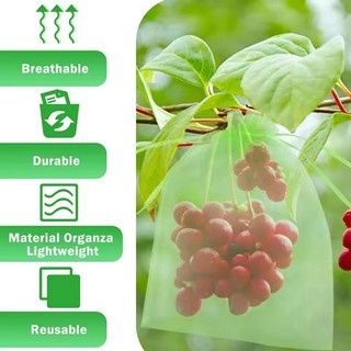 10 / 20 / 30 Chiếc Túi Dây Rút Chống Côn Trùng Trái Cây Đa Năng / Lưới Xanh Trong Suốt Chống Chim Lưới Bảo Vệ