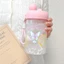 Hàn Quốc Họa Tiết Bướm Ống Hút Cốc Nước Nữ Sinh Viên Dễ Thương Cốc Nhựa Uống Đôi Dung Tích Lớn Di Động Dây Cốc Tiện Dụng