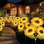 Đèn LED sân vườn hướng dương chạy bằng năng lượng mặt trời Thời gian làm việc sáng hơn và lâu hơn cho sân cỏ hiên hiên hiên hiên nhà
