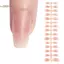 TRTR 30 Cái Màu Blush Móng Tay Giả Có Thể Tháo Rời Móng Tay Giả Có Thể Đeo Ấn Vào Móng Tay Giả Đầu Móng Tay Móng Tay Nghệ Thuật Dụng Cụ Nối Dài VN