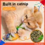 Đồ chơi mèo chim hót điện – Teaser sang trọng kích hoạt bằng cảm ứng cho chó mèo trong nhà Mô phỏng vui nhộn Đồ chơi thú cưng cho ngôi nhà Đông Nam Đồ chơi mèo Prey thân thiện