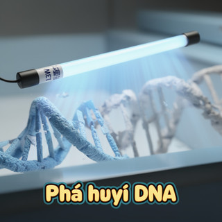 Đèn tiệt trùng bể cá UV 11W 13W Tảo Vi khuẩn Nấm Nước trong suốt Bể cá UVC Lọc