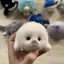 PNPIA- Dễ Thương Cho Bé Cói Búp Bê Sang Trọng Đồ Chơi Mặt Dây Chuyền Mô Phỏng Đại Dương Đồ Chơi Lưu Niệm Con Dấu Mặt Dây Chuyền Quà Tặng Túi Búp Bê Mặt Dây Chuyền