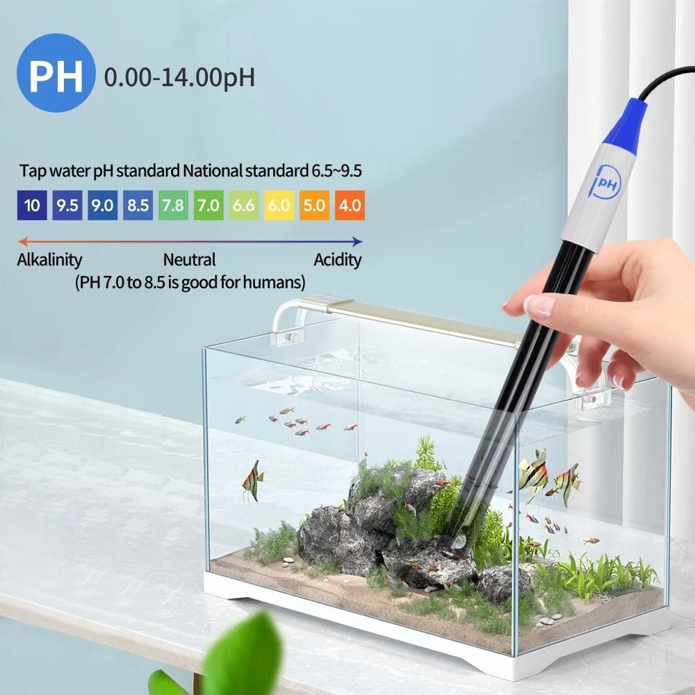 Đầu dò cảm biến pH chính xác cao DONOVANQQ, Đầu nối BNC tiêu chuẩn thân xe chống va đập Điện cực kết hợp pH, Thân kính trong suốt Vỏ kính Đầu dò điện cực pH
