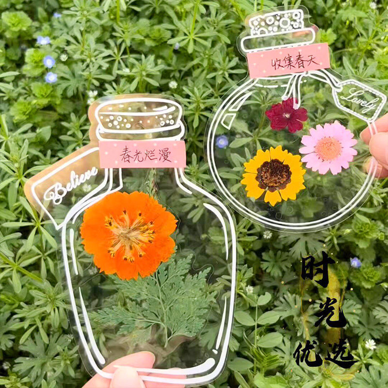 Hoa Khô Dấu Trang Bộ Sưu Tập Mẫu Vật Nhiều Lớp Lá Vật Liệu DIY Cho Học Sinh Trường Học