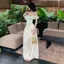 Hoa Camisole Nữ Mùa Hè 2026 Ren Khâu Corset Pháp Ống Top