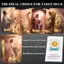 Hồng Victoria Tarot 78 tờ Phiên bản tiếng Anh di động Tarot Oracle Decks for Love Dream Reading Fortune Guide Toys sonlekvn