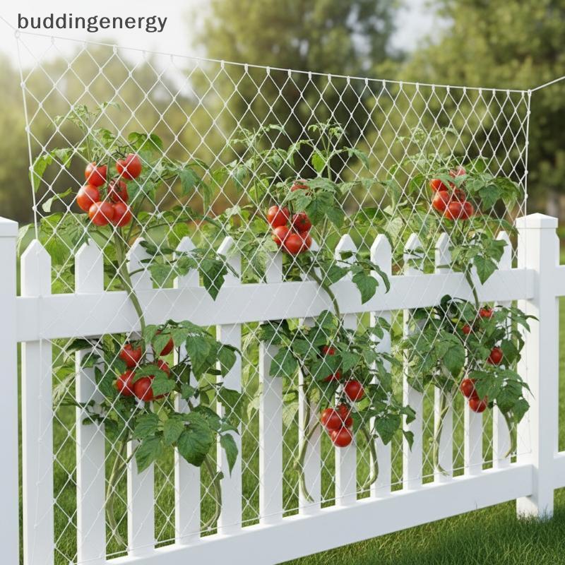 {BUDDI} Lưới leo núi trong vườn Nylon hạng nặng 2x5M Lưới hỗ trợ cho cây dưa chuột Cây nho rau quả Trellis dọc {buddingenergy}