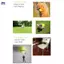 XOITOP Tập Tiểu Học Tennis 1 Mét Huấn Luyện Co Giãn Trận Đấu Tennis Huấn Luyện Độ Linh Hoạt Cao Sợi Hóa Học Bóng Tennis Câu Lạc Bộ Trường VN
