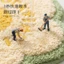 Thảm Lau Chân nhà tắm hình hoa phong cách kem nỉ lông dày dặn siêu thấm nước đế tpr chống trượt decor phòng tắm phòng ngủ đẹp