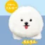 Hàng có sẵn Câu lạc bộ đậu phộng Nhật Bản Viên nang Đồ chơi Furry Bichon Doll Palm Búp bê dễ thương M4TD