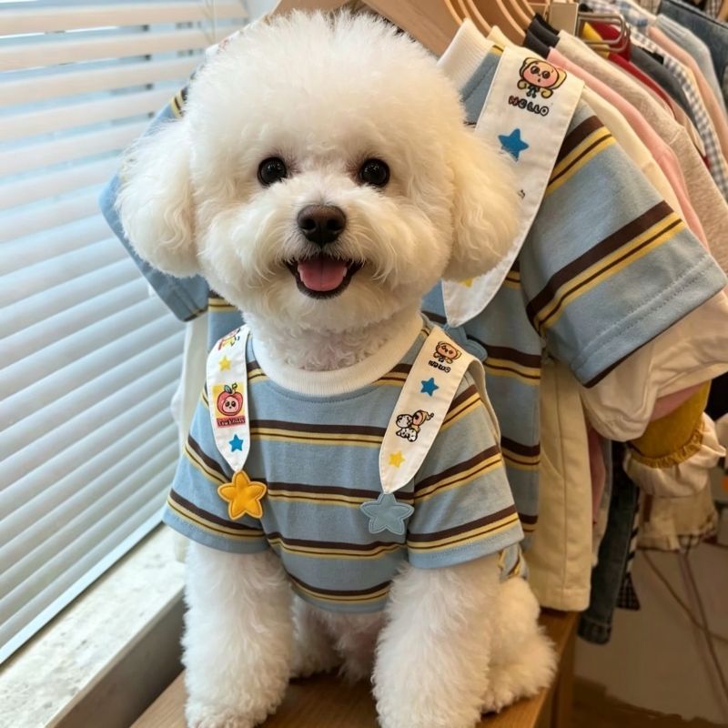 Quần Áo Cho Chó Mùa Hè Chống Trơn Mỏng Phong Cách Influencer Dạo Phố Quần Áo Thú Cưng