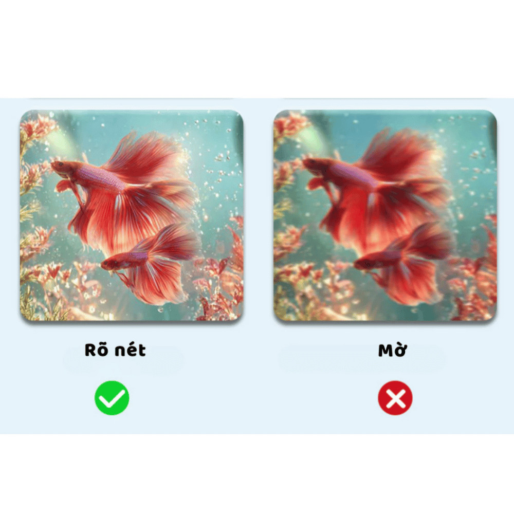 Bể Cá Mini Trong Suốt HomeMate – Bể Cá Nhựa PET Chống Rơi Vỡ, Decor Bàn Làm Việc & Phòng Khách
