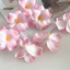 Linh hồn| Hoa lan bền lâu Hoa giả 10 chiếc Lụa nhân tạo Phalaenopsis Hoa lan Đầu hoa lan giả cho bó hoa cưới Thủ công Diy Trang trí nội thất Đông Nam Á