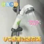 Bộ lọc Ion âm Đầu vòi hoa sen áp lực Đầu vòi hoa sen cầm tay Vòi phun nước phòng tắm Đầu vòi hoa sen 4RSB