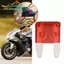 Bộ cầu chì lưỡi Mini loại 1 bộ cầu chì ô tô 12V cho ô tô và thuyền