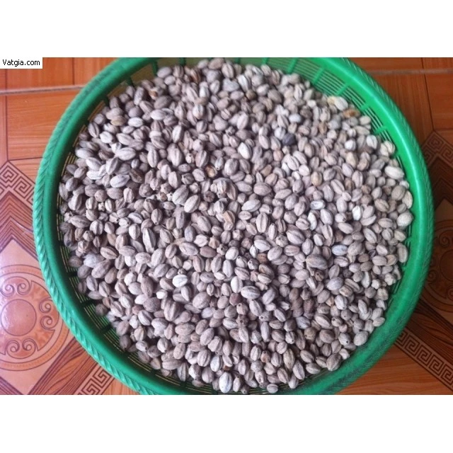 100 GRAM = 0,1 kg HẠT GIỐNG CÂY XOAN TA. [ HẠT - CÓ BẢO HÀNH ] [ GIAO HÀNG NHANH ]