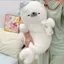 Dễ Thương Dễ Thương Dễ Thương Dễ Thương Ngủ Giấc Mơ Con Dấu Sang Trọng Đồ Chơi Búp Bê Kèm Búp Bê Chữa Bệnh Búp Bê Gửi Bé Gái Quà Tặng Sinh Nhật 4.22