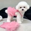 LAKAM Puppy Slip Dress, Đầm công chúa thú cưng mềm mại thoáng khí, Quần áo bông Corgi mùa hè ngọt ngào đáng yêu hợp thời trang cho chó mèo nhỏ