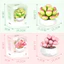 SAIA Plant Poted Building Blocks, Khối xây dựng hoa nhân tạo bằng nhựa giả, Mô phỏng xây dựng đồ chơi DIY sáng tạo Mô hình mọng nước Kid