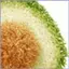 Vải Nhà Bếp Cho Món Ăn Nhà Bếp Xốp Khăn Lau Món Ăn Có Thể Tái Sử Dụng Vải Cho Nhà Hàng Căn Hộ Chảo Bồn Rửa mueadsyvn