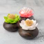 Gỗ Sen Nhà Cao Cấp Cá Tính Sáng Tạo Giá Đỡ Tăm Giá Trị Cao Cấp, Ánh Sáng Sang Trọng Phong Cách Trung Hoa Gỗ Chắc Chắn Hộp Tăm