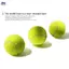 XOITOP Tập Tiểu Học Tennis 1 Mét Huấn Luyện Co Giãn Trận Đấu Tennis Huấn Luyện Độ Linh Hoạt Cao Sợi Hóa Học Bóng Tennis Câu Lạc Bộ Trường VN