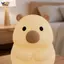 Cudly Bear Đèn ngủ trẻ em Độ sáng có thể điều chỉnh Đèn chiếu sáng dễ thương cho phòng ngủ bé Sử dụng ban đêm