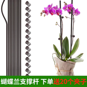 Hình Làm Vườn Leo Mây Hoa Hỗ Trợ Cần Phalaenopsis Giá Đỡ Nồi Cố Định Kẹp Hoa Kẹp Kệ Dây Giá Đỡ Trung Bình