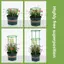 MAKY 1 Bộ Trellis Cà Chua Có Thể Điều Chỉnh Cọc Cây Vườn Trellis Cây Cà Chua Hỗ Trợ Lồng Cho Vườn Chậu Cây Trồng Tiếp Liệu VN