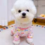 Quần Áo Cho Chó Teddy Bichon Đi Chơi Chó Đi Bộ Bốn Chân Chống Bụi Quần Chống Bẩn Mùa Xuân Mùa Hè Mỏng Áo D-ring Đi Chơi Lực Kéo