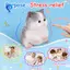 Đồ chơi mèo Squishy nhỏ Giảm căng thẳng Đồ chơi Squishy mèo ngộ nghĩnh Đồ chơi Squishy mèo dễ thương Quà tặng đồ chơi căng thẳng Squishy và mèo trắng
