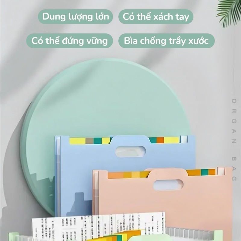 Túi Đựng Tài Liệu Học Sinh Và Dân Văn Phòng - 13 Ngăn A4 Bằng Nhựa PP Cao Cấp, Tính Năng Chống Nước