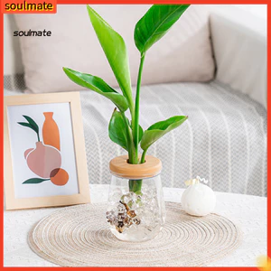 Linh hồn| Hộp đựng thủy canh thủy canh Chậu cây tự tưới chậu cây thủy canh có nắp trên bằng gỗ giả – Terrarium để bàn nhiều mặt để bàn màu xanh lá cây dễ dàng cho khu vực Đông Nam