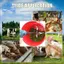 Bộ lưỡi cắt cỏ đa chức năng cạnh thép không gỉ Dụng cụ cắt rau củ chống rỉ Trang trại / Nhà