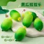 Mô Phỏng Cucumber Pinch Âm Nhạc Sáng Tạo Trái Cây Rau Lỗ Thông Hơi Bóng Văn Phòng Tricky Giải Nén Tiện Dụng Dụng Cụ Trẻ Em Đồ Chơi Nhỏ 5.8