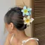 NKSFX 5 Cái / bộ Vuốt Tóc, Kẹp Tóc Hoa Hawaii Gradient Acrylic, Hoa Ngọt Ngào Plumeria Kẹp Hoa Đuôi Ngựa Kẹp Phụ Kiện Tóc Đi Biển