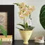 VVDZA Cây Trellis, Khung Leo Sân Vườn Thiết Kế Hình Lá Chống Rỉ, Nhựa Bền Hỗ Trợ Cho Cây Nho Trong Chậu Hoa Trellis Trong Nhà Ngoài Trời